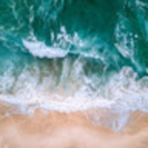 Meet your Posher, Jillian